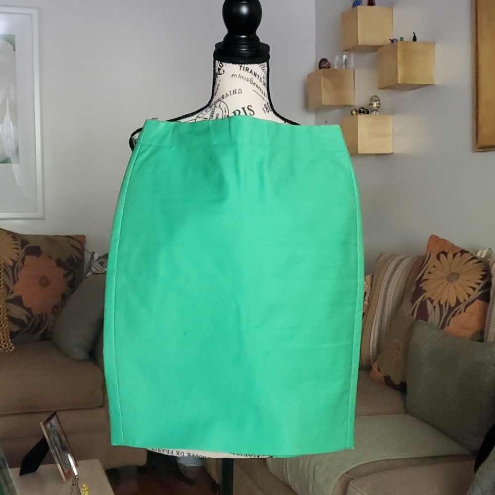 Cotton #2 Pencil skirt (gently worn)